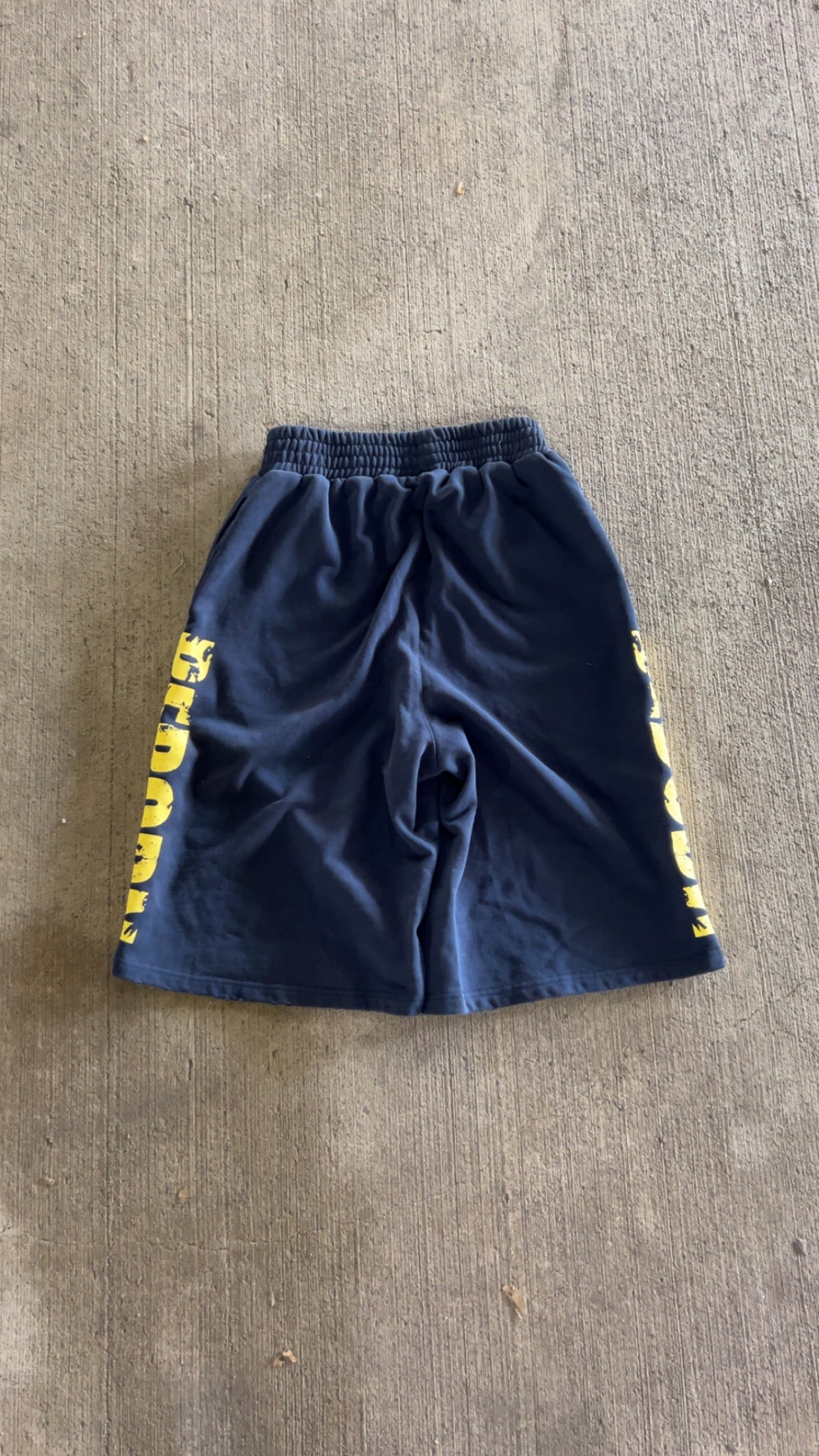 Survivor shorts(Blue)